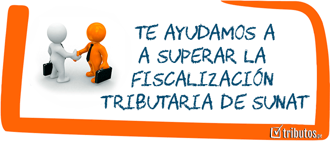 Asistencia en Fiscalización de SUNAT